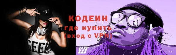 метадон Алексин
