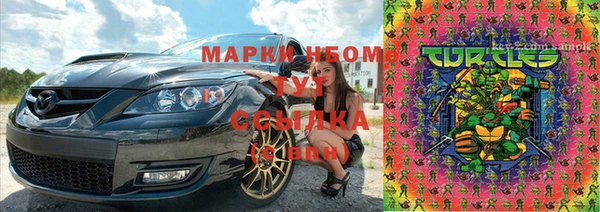 метадон Алексин