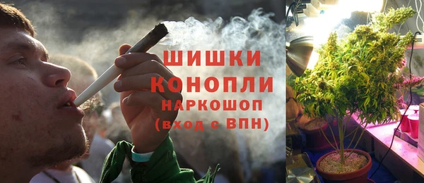 метадон Алексин