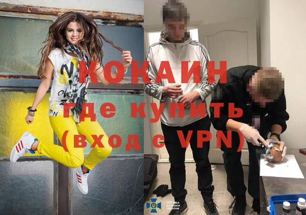 метадон Алексин