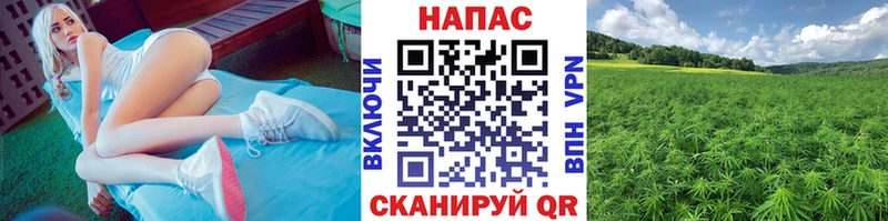 KRAKEN   продажа наркотиков  Арск  Шишки марихуана конопля 